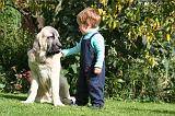 ENFANT ET CHIEN 596